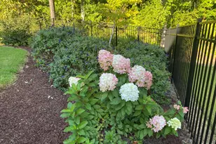 17 Monteith Dr, Chapel Hill, NC 27516 - Photo 21