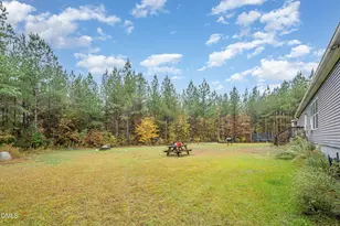 11801 Burlington Rd, Hurdle Mills, NC 27541 - Photo 27