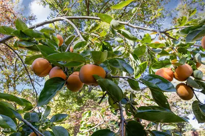 3009 Hickory Road, Raleigh, NC 27616 - Photo 15