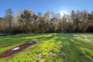 225 Mangrove Ct, Four Oaks, NC 27524 - Photo 21