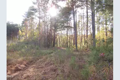 8.78 Acres Riley Hill Rd., Wendell, NC 27591 - Photo 7