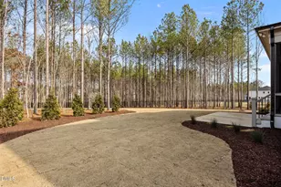 15 Chestnut Oak Dr, Youngsville, NC 27596 - Photo 49