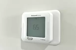 1739 Cardinal Dr, Deep Run, NC 28525 - Photo 13