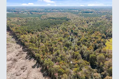 0 Ernest Brown Road, Lillington, NC 27546 - Photo 9