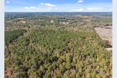 0 Ernest Brown Road, Lillington, NC 27546 - Photo 3