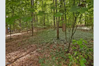 1428 Gray Bluff Trail, Chapel Hill, NC 27517 - Photo 87