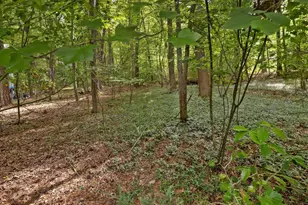 1428 Gray Bluff Trail, Chapel Hill, NC 27517 - Photo 87