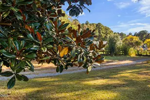 9916 Bonsal Crossing Rd, New Hill, NC 27562 - Photo 59