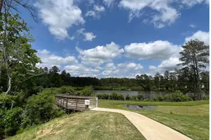 1110 Shoreside Dr, Durham, NC 27713 - Photo 13