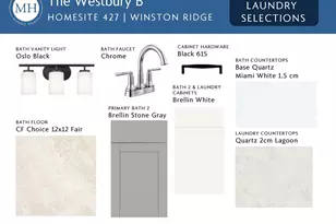 12 Bee Balm Ct, Youngsville, NC 27596 - Photo 11