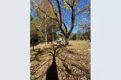 3105 Tump Wilkins Road, Stem, NC 27581 - Photo 27