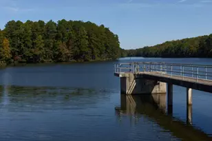 142 N White St, Wake Forest, NC 27587 - Photo 35