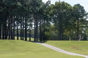 105 Ailey Brk Wy, Wake Forest, NC 27587 - Photo 35