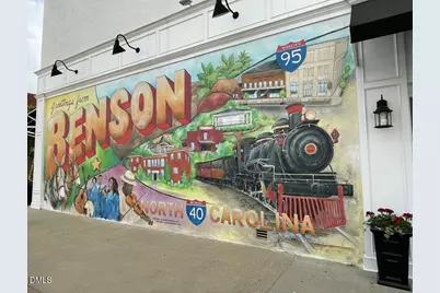 66 Flannel Court #250, Benson, NC 27504 - Photo 33