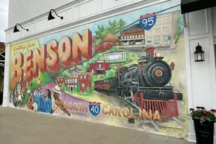 66 Flannel Ct, Benson, NC 27504 - Photo 33