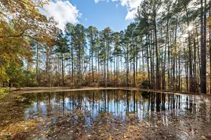 109 Dogwood Cir, Butner, NC 27509 - Photo 53