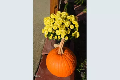 652 Hazel Lawson Road, Roxboro, NC 27574 - Photo 37