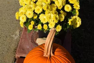 652 Hazel Lawson Rd, Roxboro, NC 27574 - Photo 37