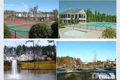 509 Ruby Walk Drive, Morrisville, NC 27560 - Photo 3