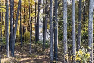 502 John Jones Rd, Bahama, NC 27503 - Photo 89