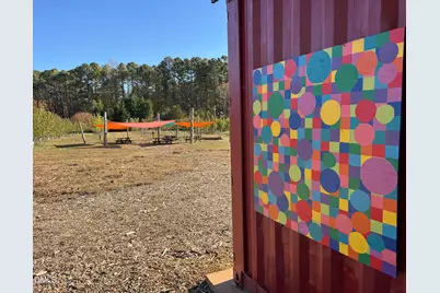 502 John Jones Road, Bahama, NC 27503 - Photo 9