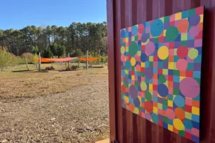 502 John Jones Rd, Bahama, NC 27503 - Photo 9