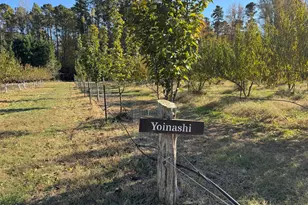 502 John Jones Rd, Bahama, NC 27503 - Photo 7