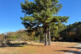 502 John Jones Rd, Bahama, NC 27503 - Photo 37