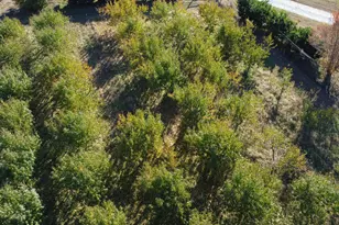 502 John Jones Rd, Bahama, NC 27503 - Photo 13