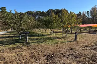 502 John Jones Rd, Bahama, NC 27503 - Photo 31