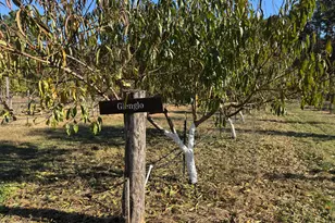 502 John Jones Rd, Bahama, NC 27503 - Photo 35