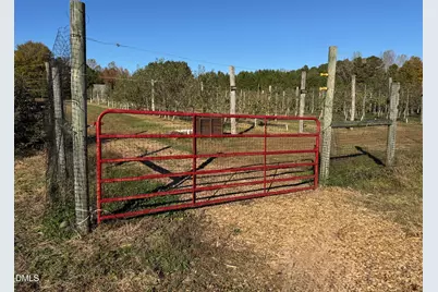 502 John Jones Road, Bahama, NC 27503 - Photo 25