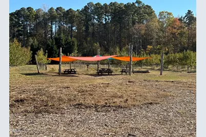 502 John Jones Road, Bahama, NC 27503 - Photo 29