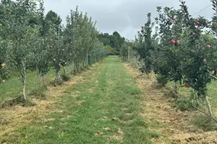 502 John Jones Rd, Bahama, NC 27503 - Photo 19