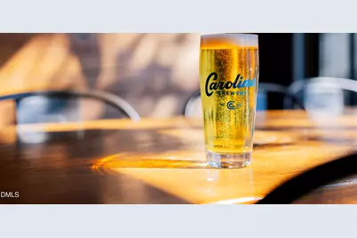 1141 Booth Park Boulevard, Chapel Hill, NC 27514 - Photo 23