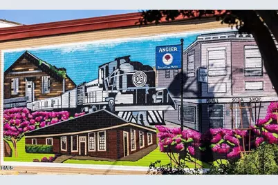 232 Hank Way, Angier, NC 27501 - Photo 33