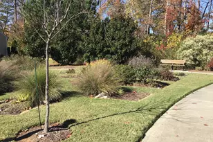 1452 Santa Lucia St, Wake Forest, NC 27587 - Photo 31