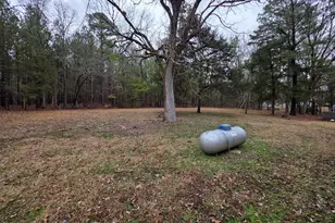 194 Jack Alston Rd, Pittsboro, NC 27312 - Photo 9