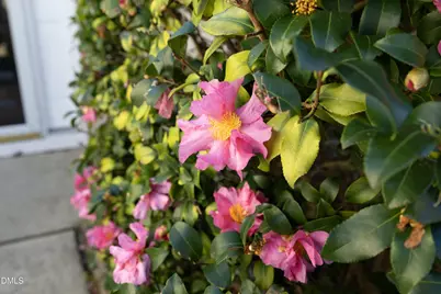 500 Dogwood Creek Place, Fuquay Varina, NC 27526 - Photo 3