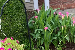 4064 Harnett, Pittsboro, NC 27312 - Photo 39