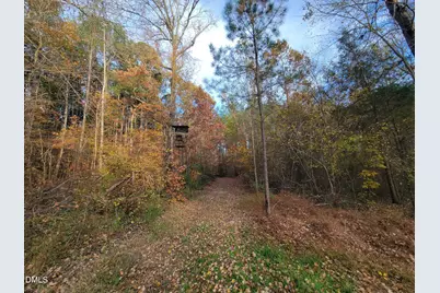 2081 Peed Road, Rougemont, NC 27572 - Photo 29