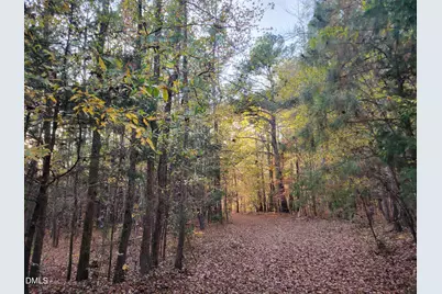 2081 Peed Road, Rougemont, NC 27572 - Photo 17