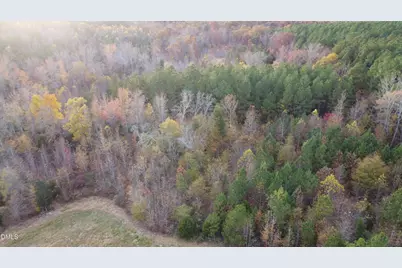 2081 Peed Road, Rougemont, NC 27572 - Photo 39