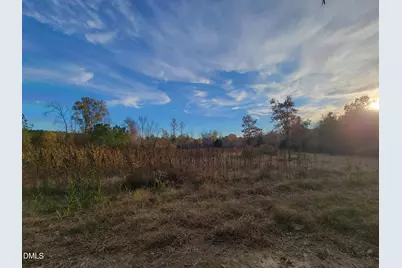 2081 Peed Road, Rougemont, NC 27572 - Photo 31