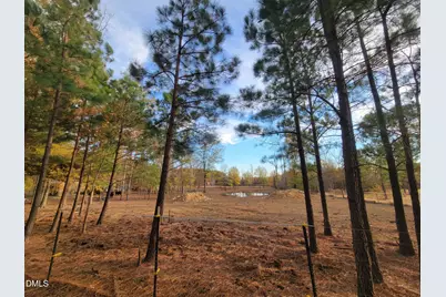 2081 Peed Road, Rougemont, NC 27572 - Photo 31