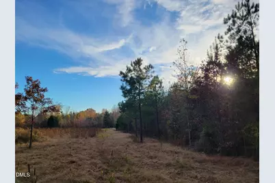 2081 Peed Road, Rougemont, NC 27572 - Photo 13