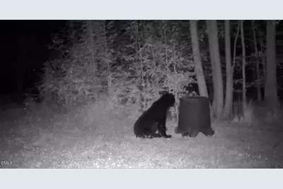 2081 Peed Road, Rougemont, NC 27572 - Photo 5