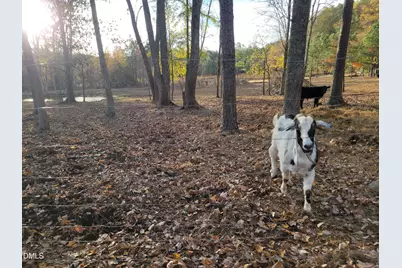 2081 Peed Road, Rougemont, NC 27572 - Photo 9