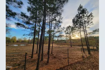 2081 Peed Road, Rougemont, NC 27572 - Photo 33