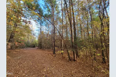 2081 Peed Road, Rougemont, NC 27572 - Photo 19